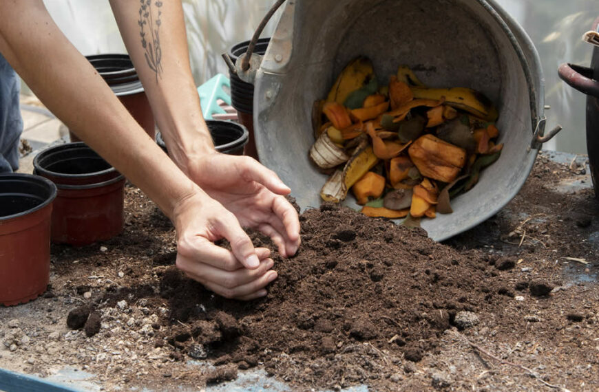 O Poder do Adubo Natural para suas Plantas