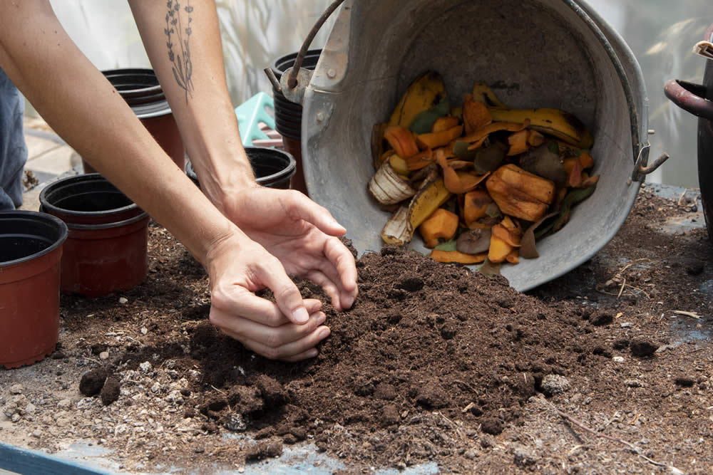 Adubo Natural para suas Plantas